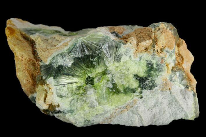 Radiating, Green Wavellite Crystal Aggregation - Arkansas #127141